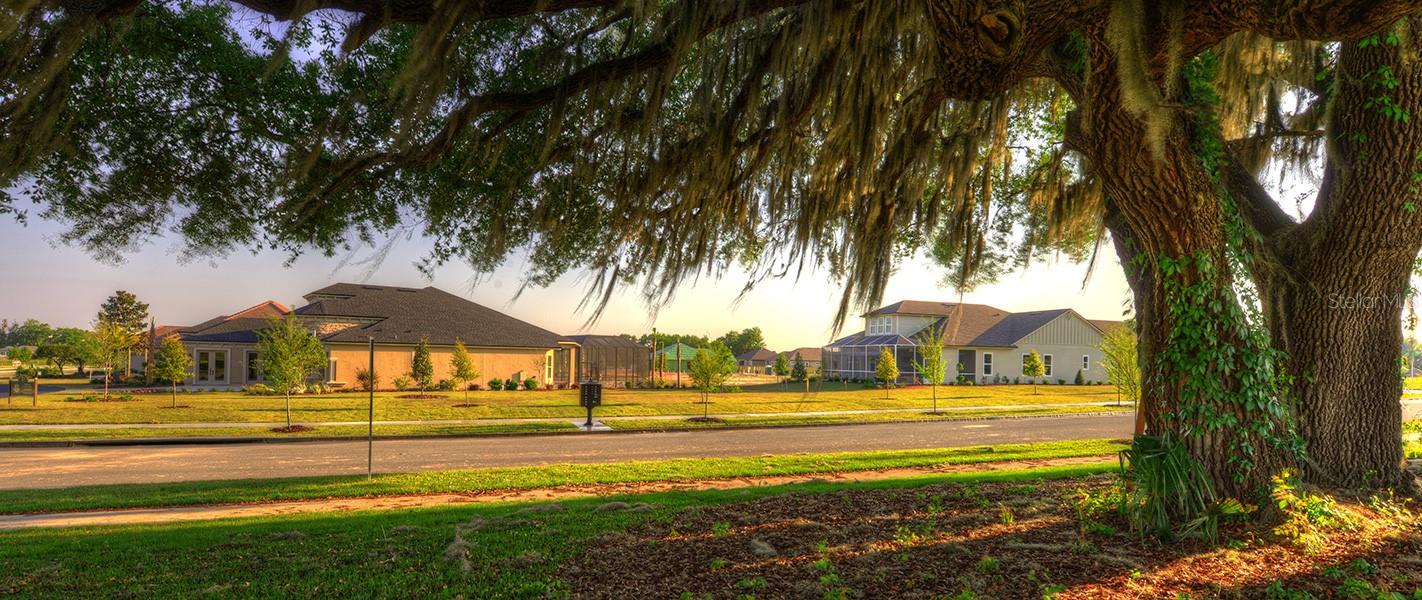Photo 4 of 9 of 2453 SW 120TH house