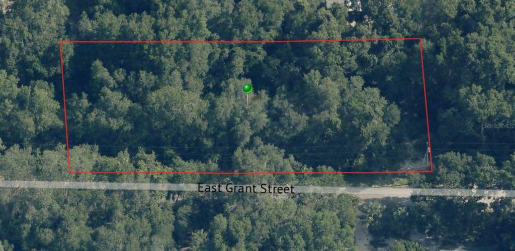 Photo of 4053 E Grant Street, Inverness, FL 34453 (MLS # TB8439656)