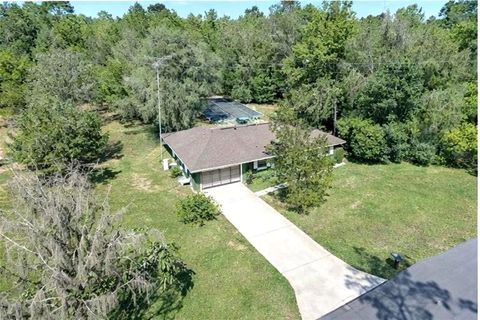 Photo of 12262 S Hyacinth Point, Floral City, FL 34436 (MLS # TB8496114)