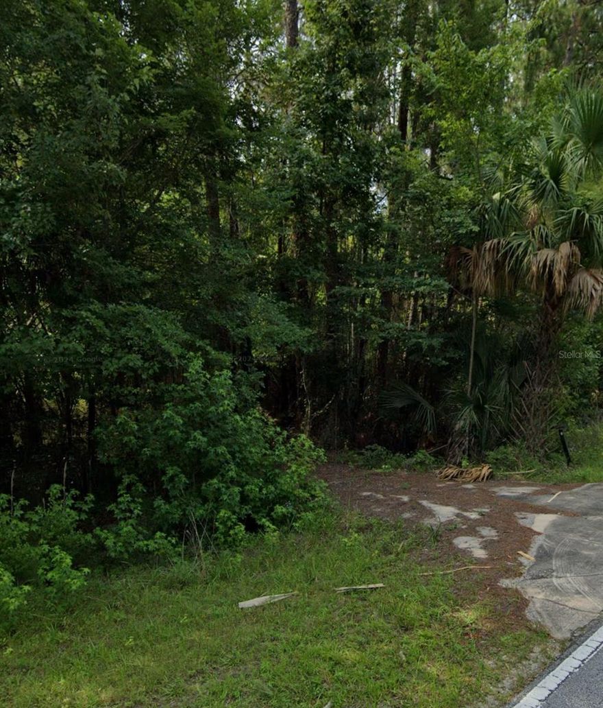 1.92 Acres paved road frontage perfect for your dream home. This property is full of beautiful trees, Oaks, Palms, cedars etc. All high and dry property. Semi secluded, all neighbors are on acreage. Walking distance to Ocklawaha River where you can fish off the bank. Close to Ocala, only 10 minutes to Walmart in Silver Springs. Lot previously had a house on it. Any well or septic system already on lot should not be presumed to be in working order. Buyer and buyers agent to perform their own due diligence