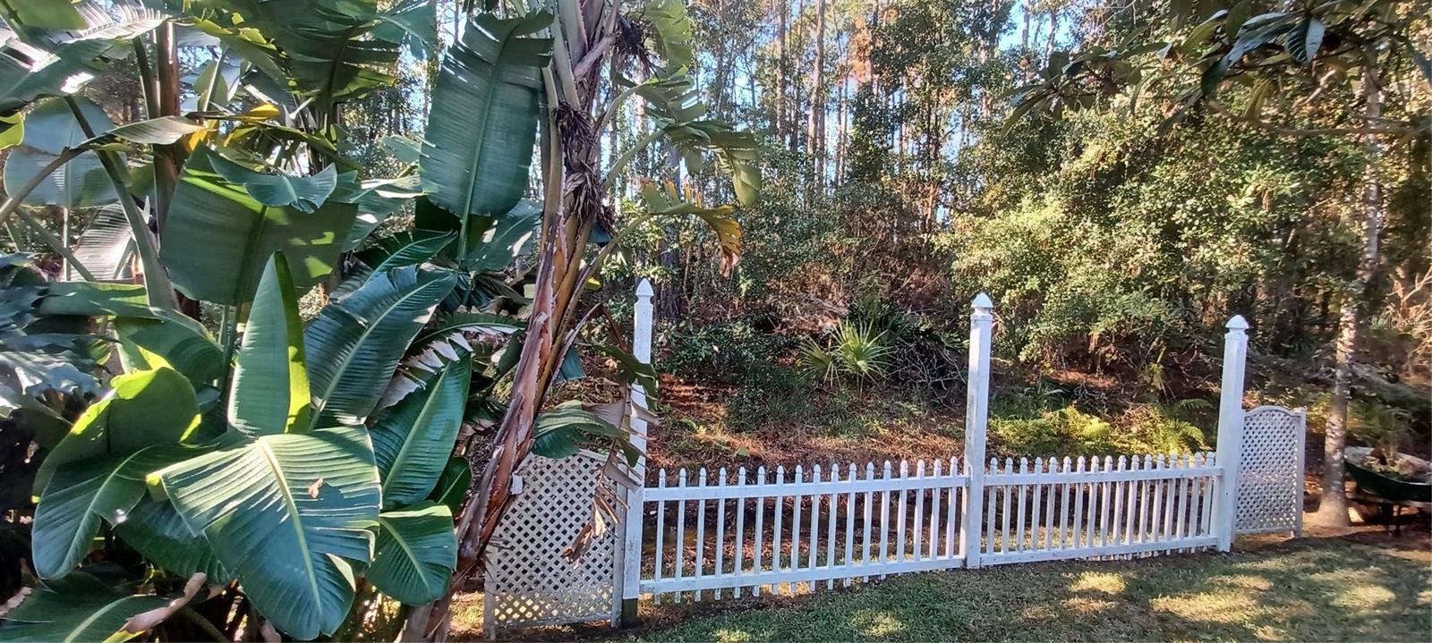 PINE LAKES - Residential