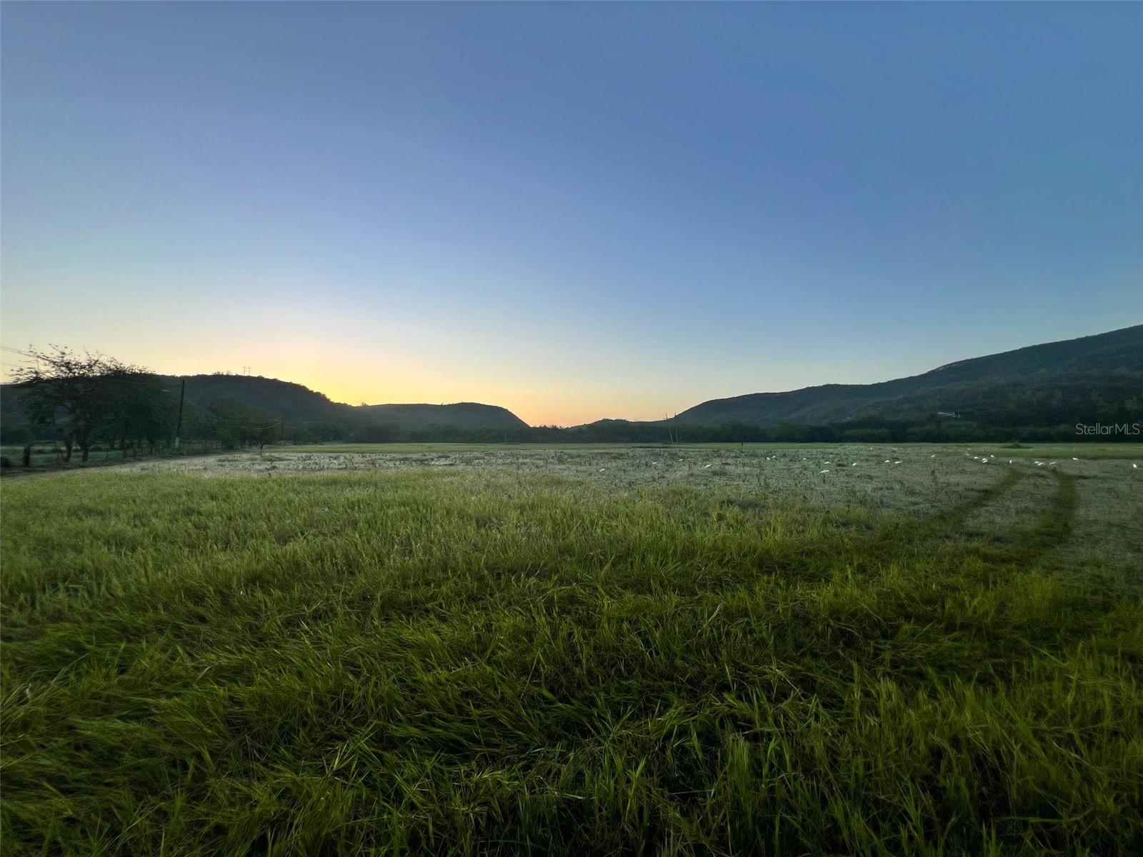 PR-335 KM 10.3 BO. INDIOS