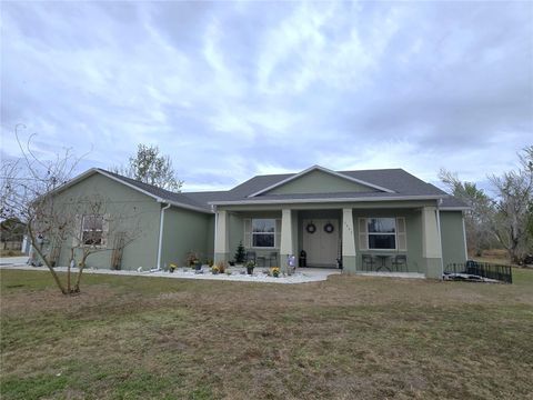 Photo of 2034 Trail Cut Road, Polk City, FL 33868 (MLS # L4959831)