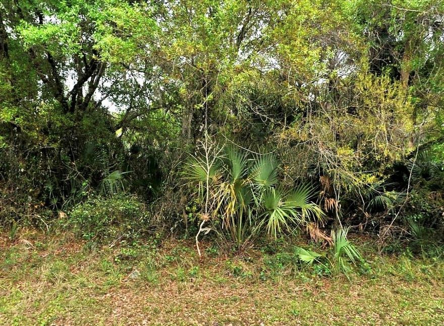 10,000 Sq. Ft. Vacant Lot Available