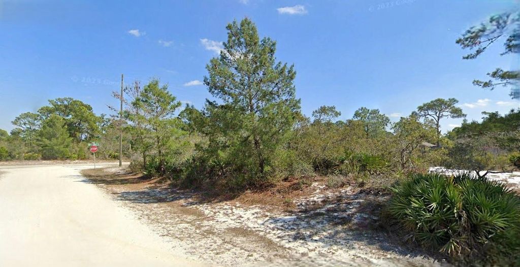 Photo of 1162 Wildflower Street, Lake Placid, FL 33852 (MLS # O6337681)