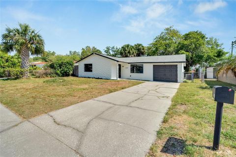 A home in PORT RICHEY