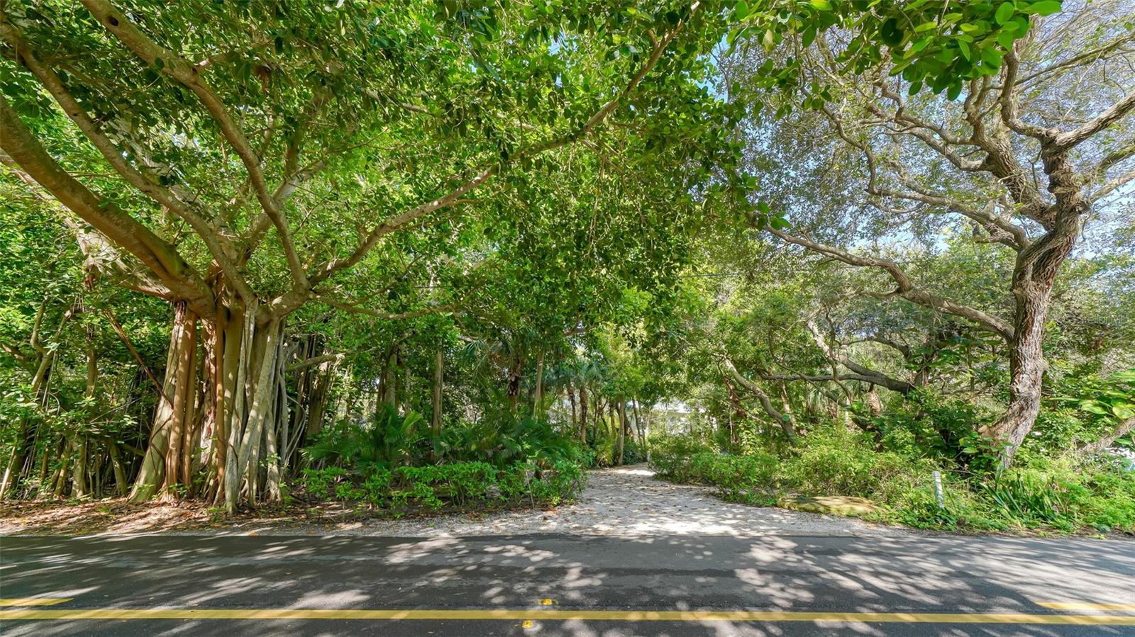 MANASOTA KEY - Residential