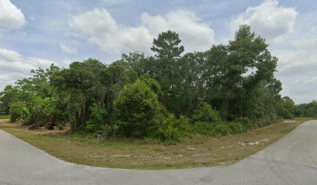 Photo of 430 Grant Avenue NE, Lake Placid, FL 33852 (MLS # O6250915)