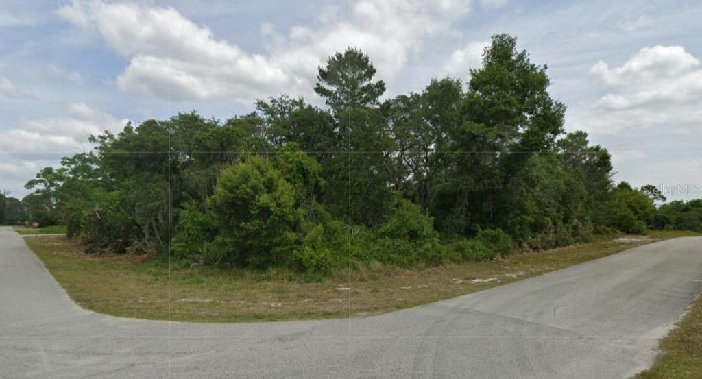 Photo of 430 Grant Avenue NE, Lake Placid, FL 33852 (MLS # O6250915)