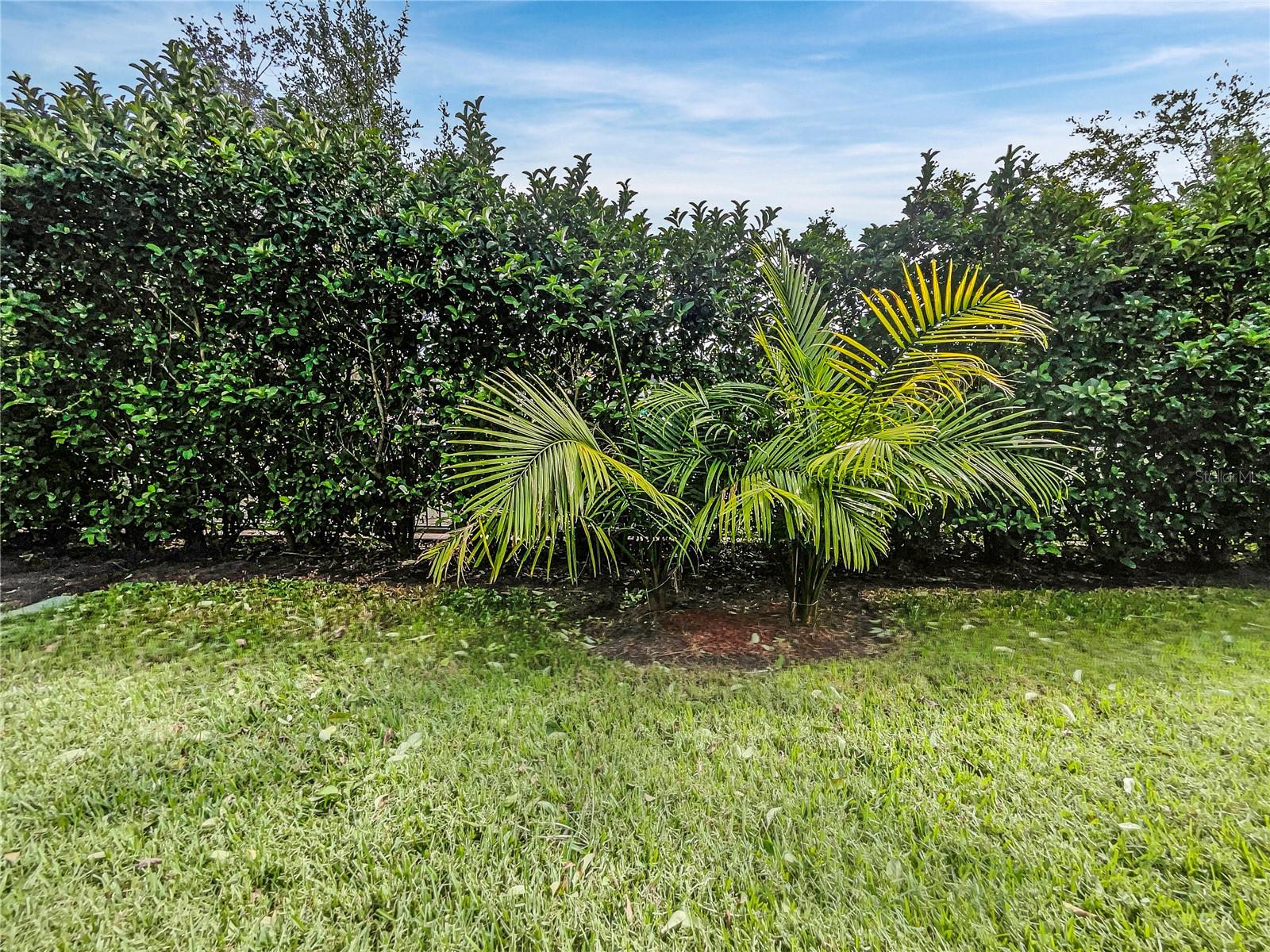 UNIVERSITY VILLAGE - Residential