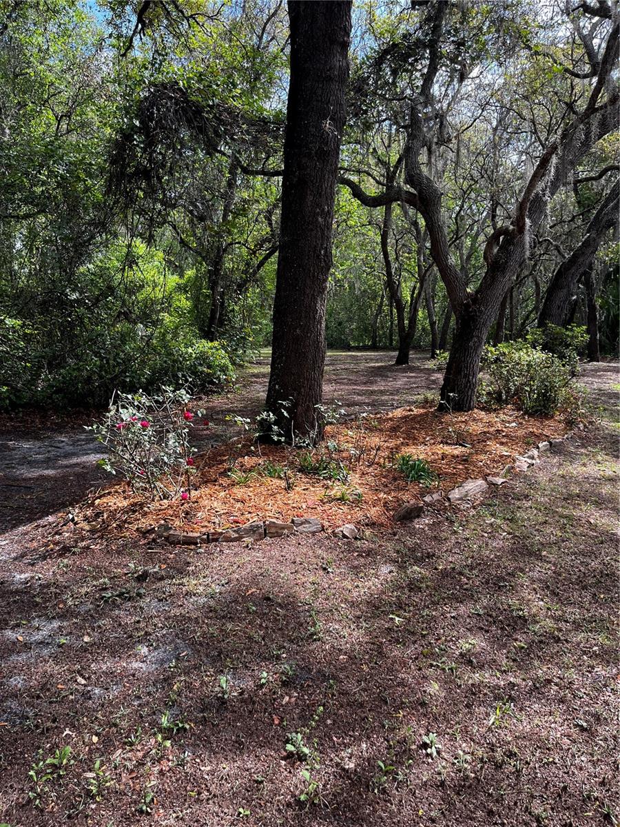 29716 DEERWOOD FARMS ROAD