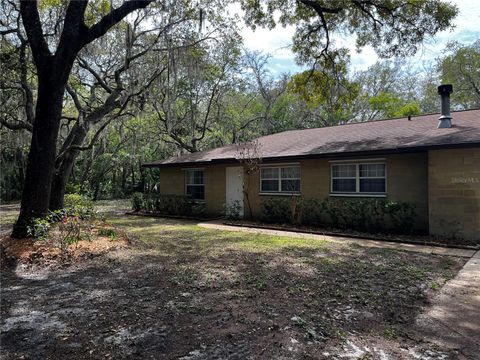 29716 DEERWOOD FARMS ROAD SORRENTO FL 32776