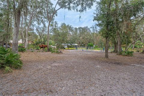 Tiny photo for 3693 Cr 400, Lake Panasoffkee, FL 33538 (MLS # OM693014)