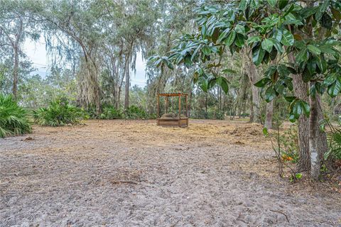 Tiny photo for 3693 Cr 400, Lake Panasoffkee, FL 33538 (MLS # OM693014)