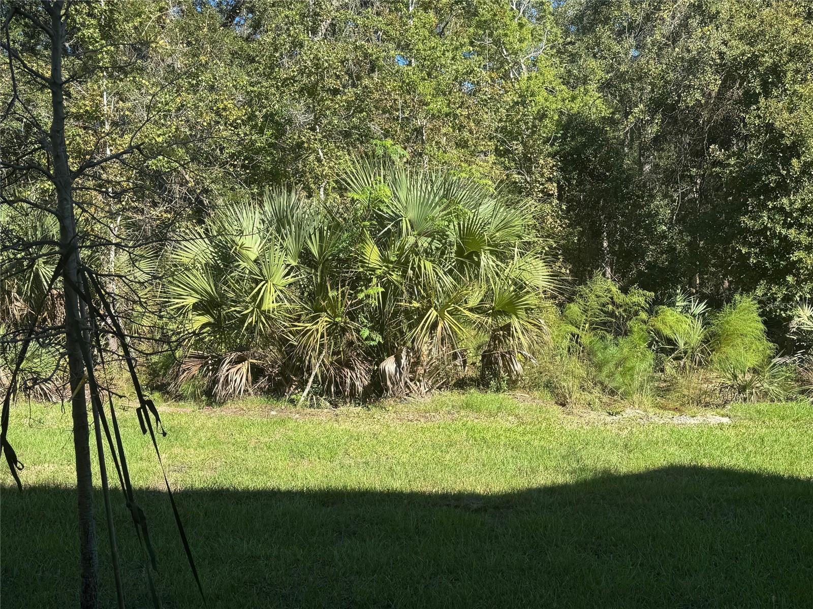 BRIDGEWATER - Residential