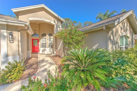 A home in VALRICO