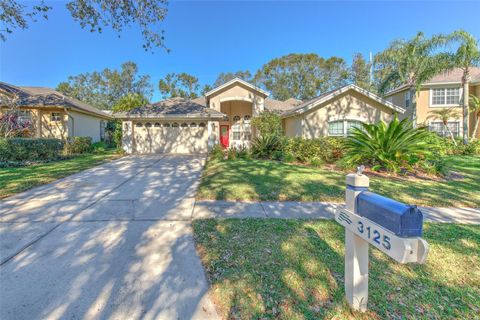 A home in VALRICO