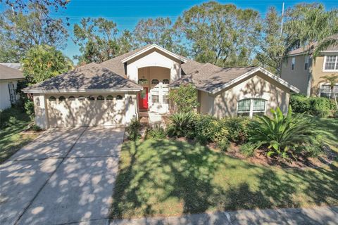 A home in VALRICO