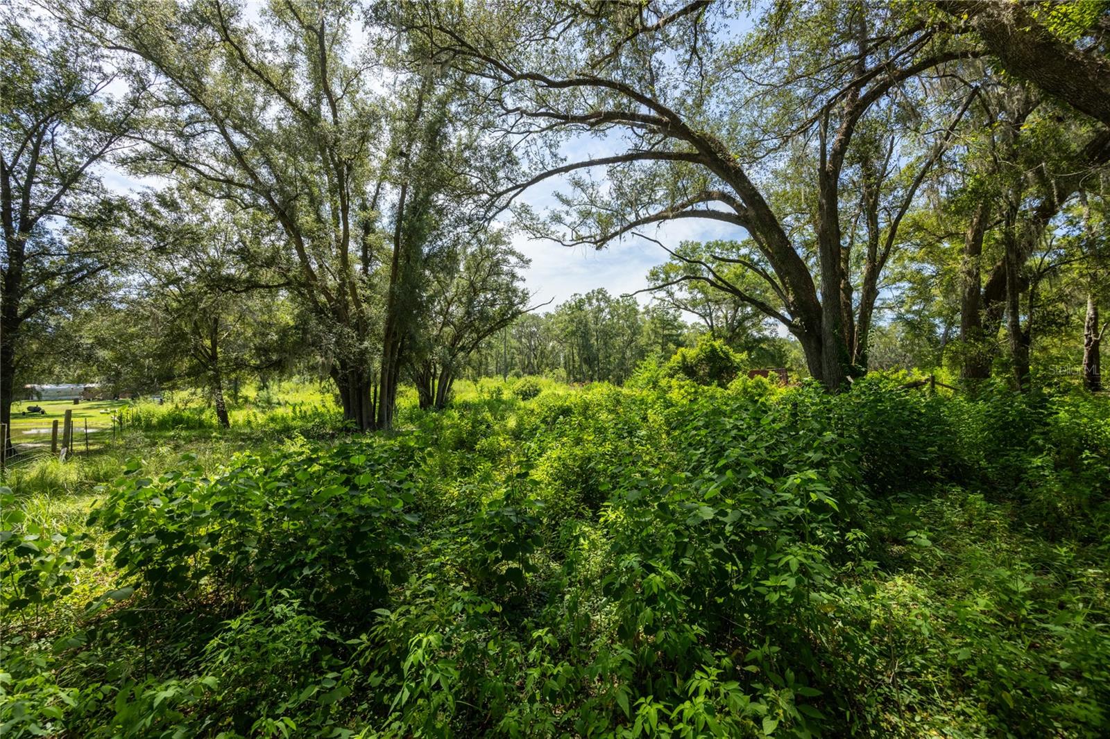 239 SW CANDI COURT