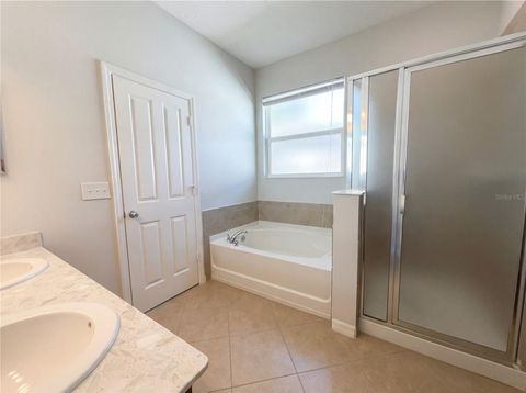 Tiny photo for 10017 Weathers Loop, Clermont, FL 34711 (MLS # O6386767)