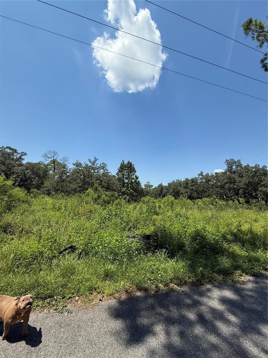 Just 10 miles from Disney and a short drive to Tampa, Lakeland, and Orlando, this prime 5.54-acre property offers the perfect balance of convenience and space. Located on a county-maintained paved road, the property is easily accessible and ready for your vision.
Two wells, Three septic tanks,Power pole with electrical service available.
