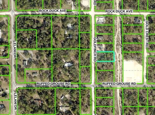 Nestled away in a highly desirable area of the Royal Highlands, this beautiful home site is waiting for you. The location is fantastic, ready to build your dream home on - or hold on to as an investment. Not in a deed restricted community, NO HOA or CDD fees either, and there is no time limit on when you can build. Close to all area amenities such as shopping, schools, dining, entertainment, medical, saltwater fishing in the Gulf and natural freshwater rivers and springs - for those who love the outdoors. Come see this beautiful home site today before it's gone. If you have any questions, just ask.