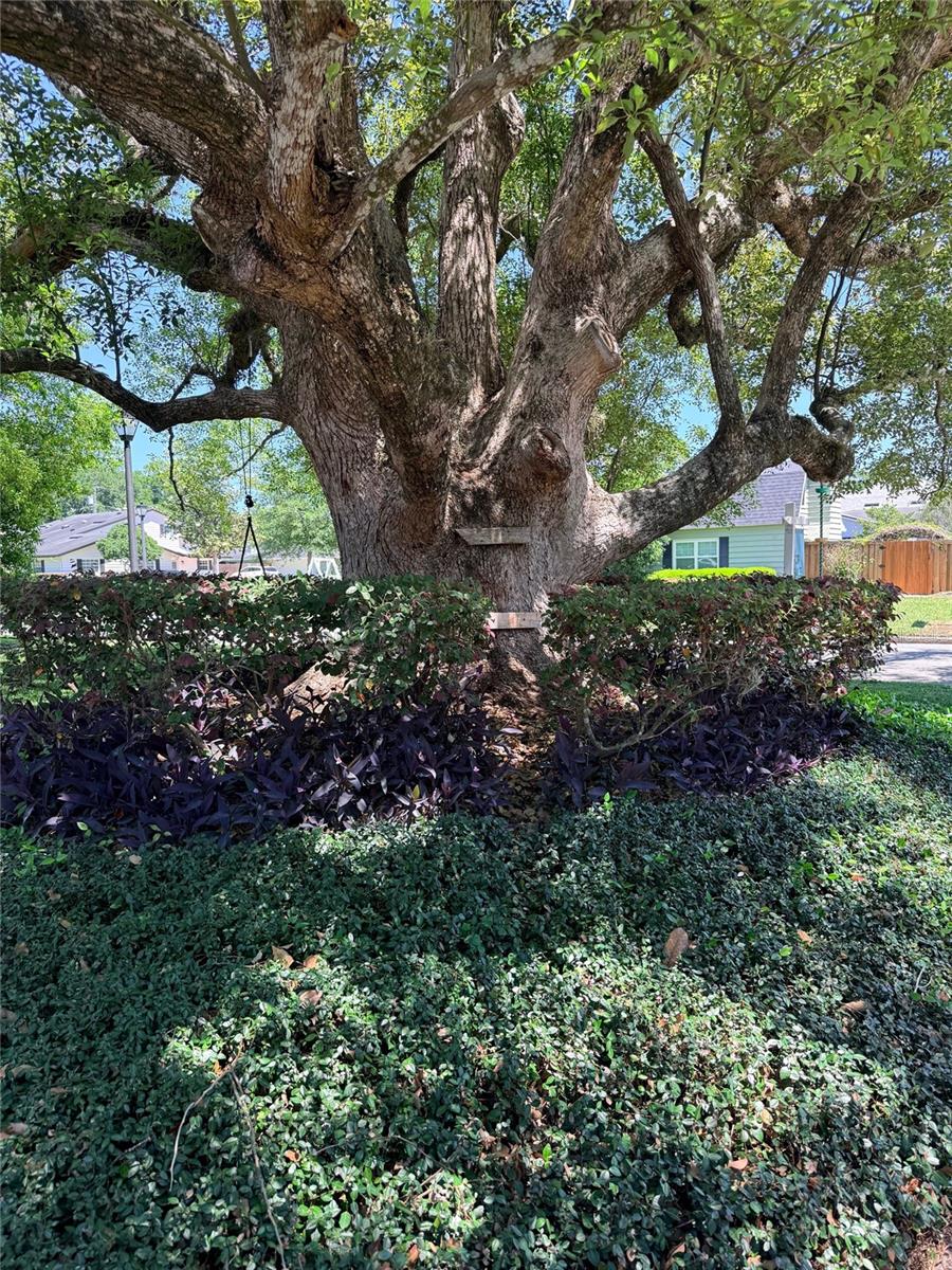 HIGHLAND PARK ESTATES - Residential
