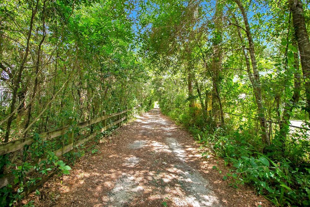 Just over two acres vacant land with mature trees, and frontage on Little Econlockhatchee River greenbelt. Twenty feet wide easement to property line off Trevarthon to beautiful Tree Canopy Lane 20'x230' to get to main parcel which is 2 acres. Property has 115 feet of frontage on beautiful Econlockhatchee greenbelt river. Has one original well. Property will be right on proposed Richard Crotty Parkway when built with little easement. Great to build a house or for a business. Close to 408, 417 and route 50 (Colonial).