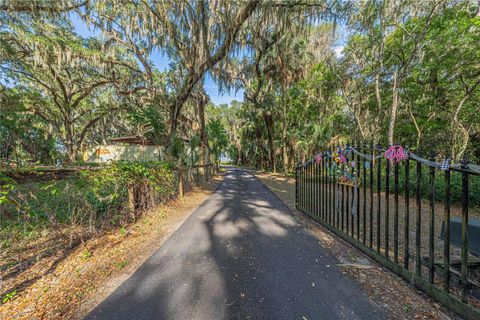 Tiny photo for 11690 SE 132nd Street Road, Ocklawaha, FL 32179 (MLS # OM724510)