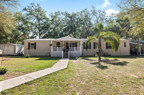 Photo of 8742 Brazil St, Zephyrhills, FL 33540 (MLS # TB8471223)