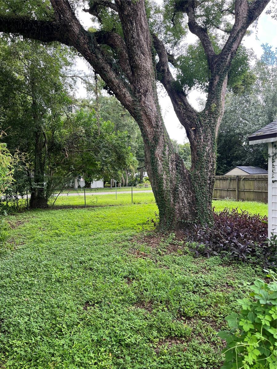 Photo of 1507 Wise Avenue, Orlando, FL 32806 (MLS # O6442100)