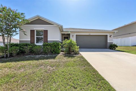 Photo of 2316 Crossandra Street, Mascotte, FL 34753 (MLS # O6331109)
