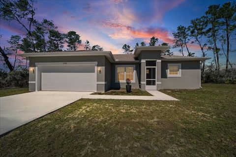 Photo of 2761 SW 173rd Street Road, Ocala, FL 34473 (MLS # OM721225)
