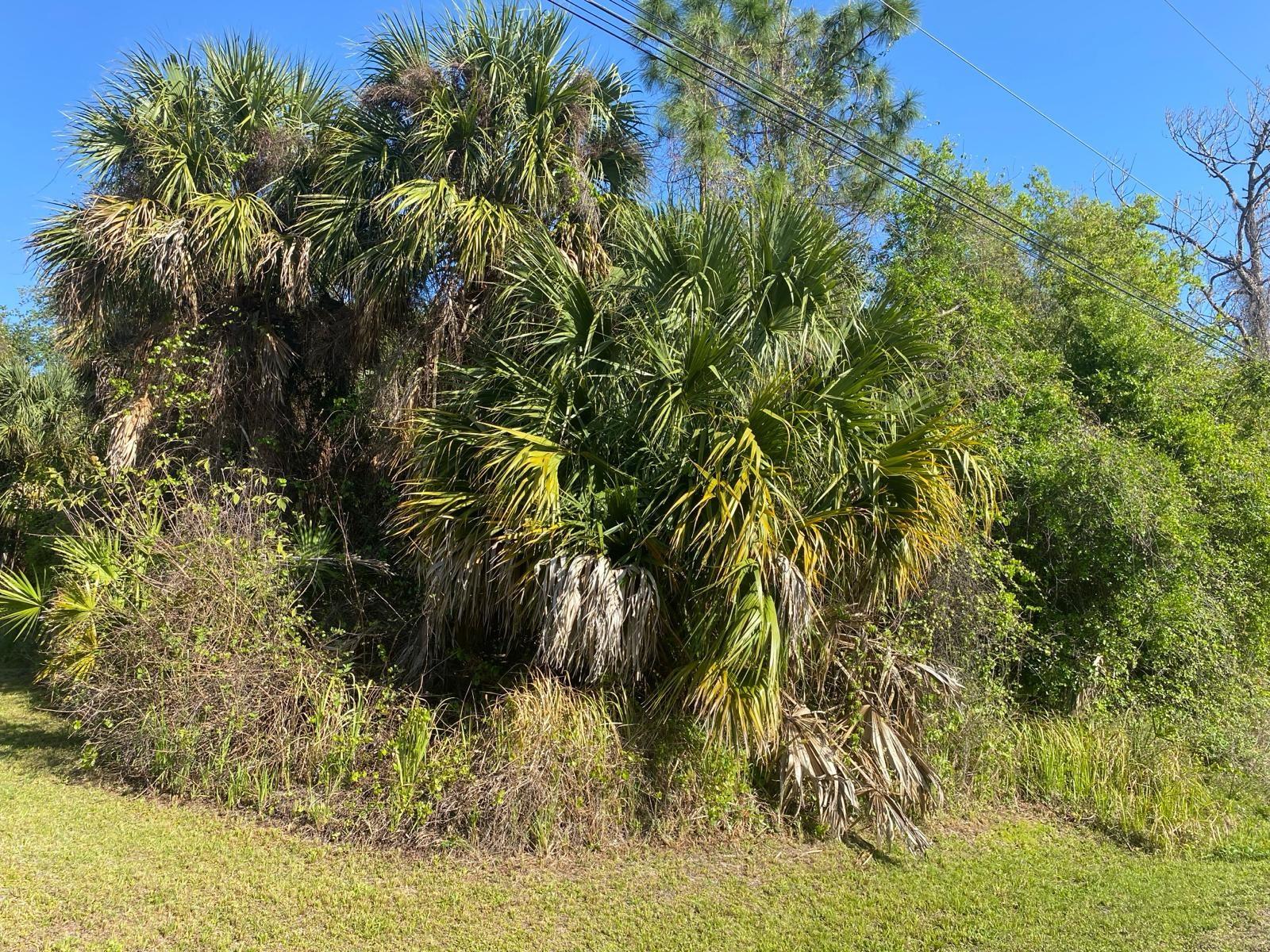 Vacant lot!! Located on a quiet street. The neighborhood has established homes. Just 10 minutes to restaurants, shopping and parks. Sarasota Country has a great school system. No HOA, No CDD Fees. Toledo Blade I-75 Exit 179 is perfect for commuters. You Can build the House of your Dreams.