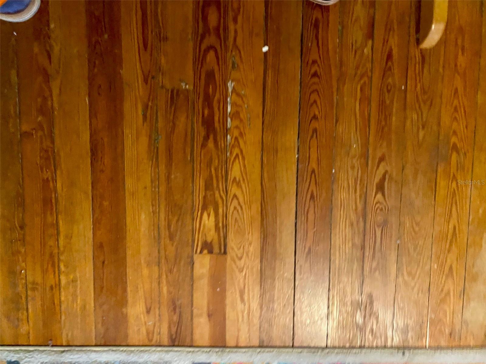 MARSHALL PARK DAYTONA BEACH - Residential Income