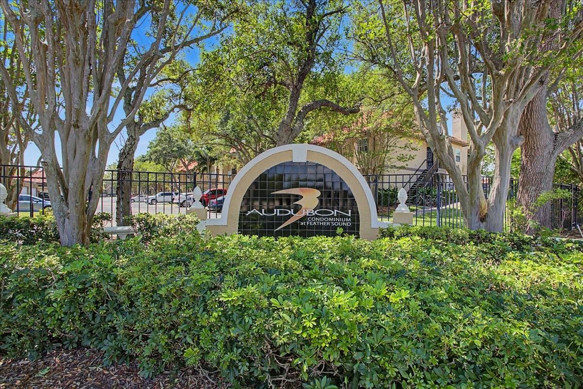 AUDUBON CONDO AT FEATHER SOUND - Residential