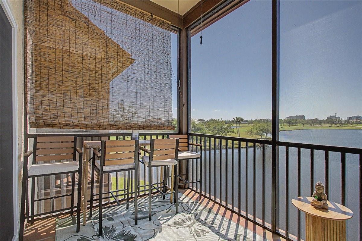 AUDUBON CONDO AT FEATHER SOUND - Residential