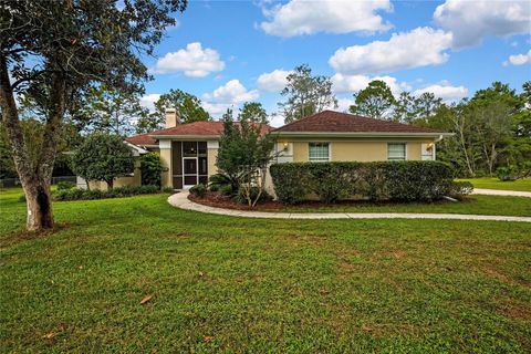 Photo of 3275 W Daffodil Drive, Beverly Hills, FL 34465 (MLS # TB8432348)