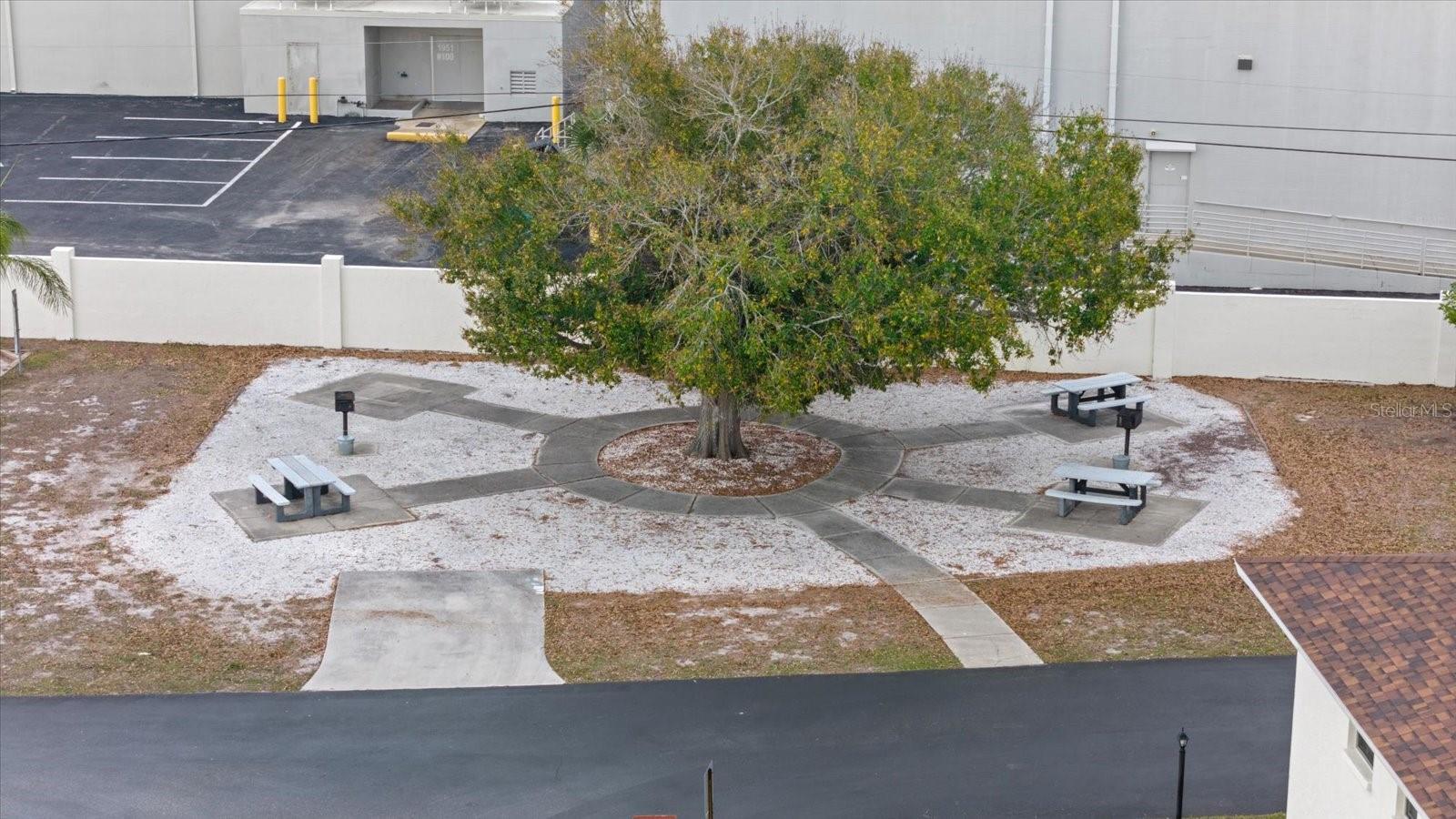 PALM MANOR PH 02 - Residential Lease