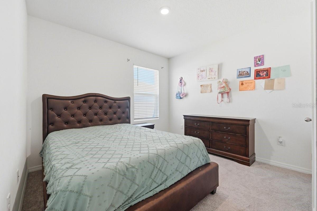 AUBURN GROVE PH II - Residential