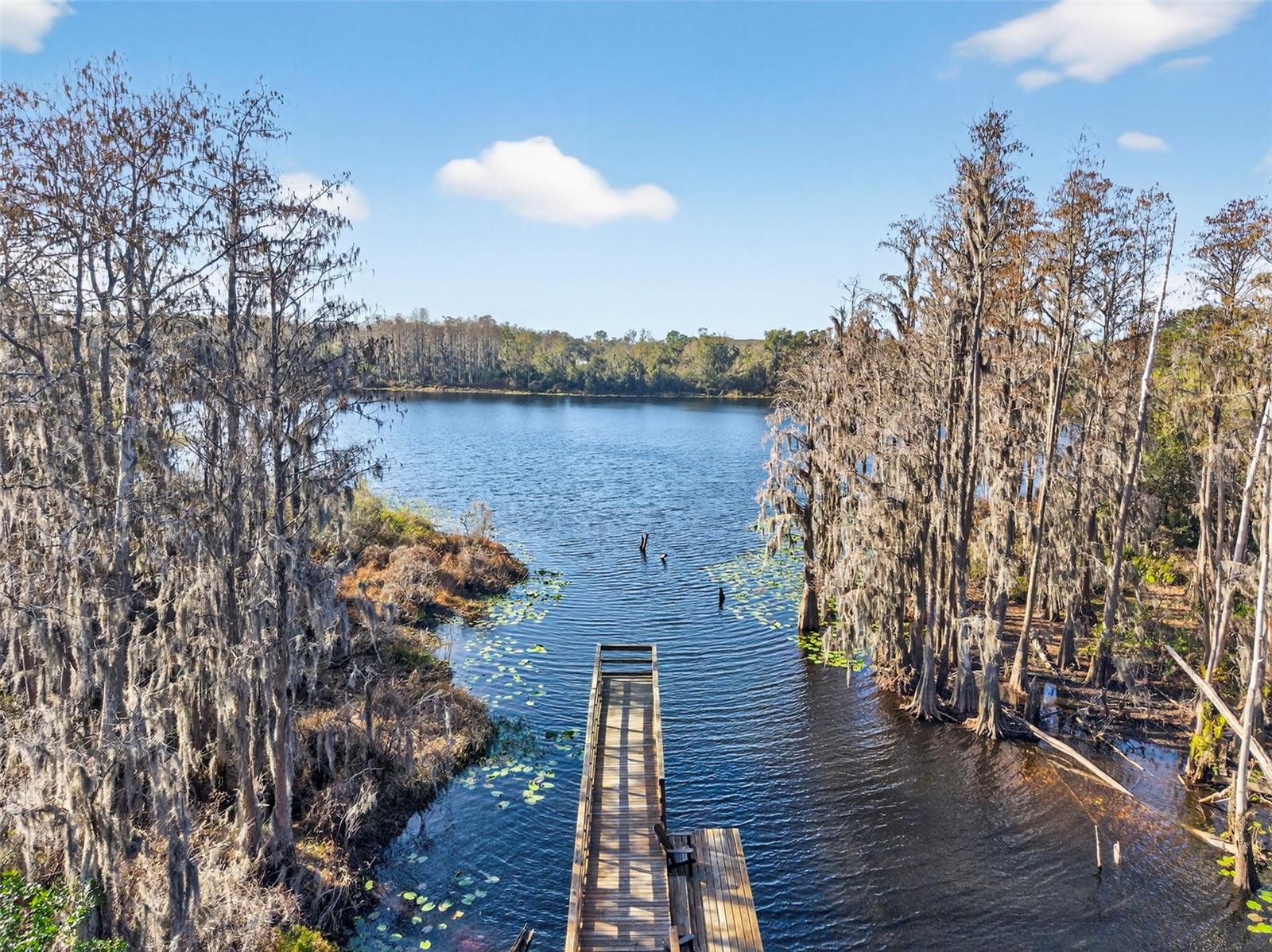 LAKEVIEW/CITRUS PARK - Residential