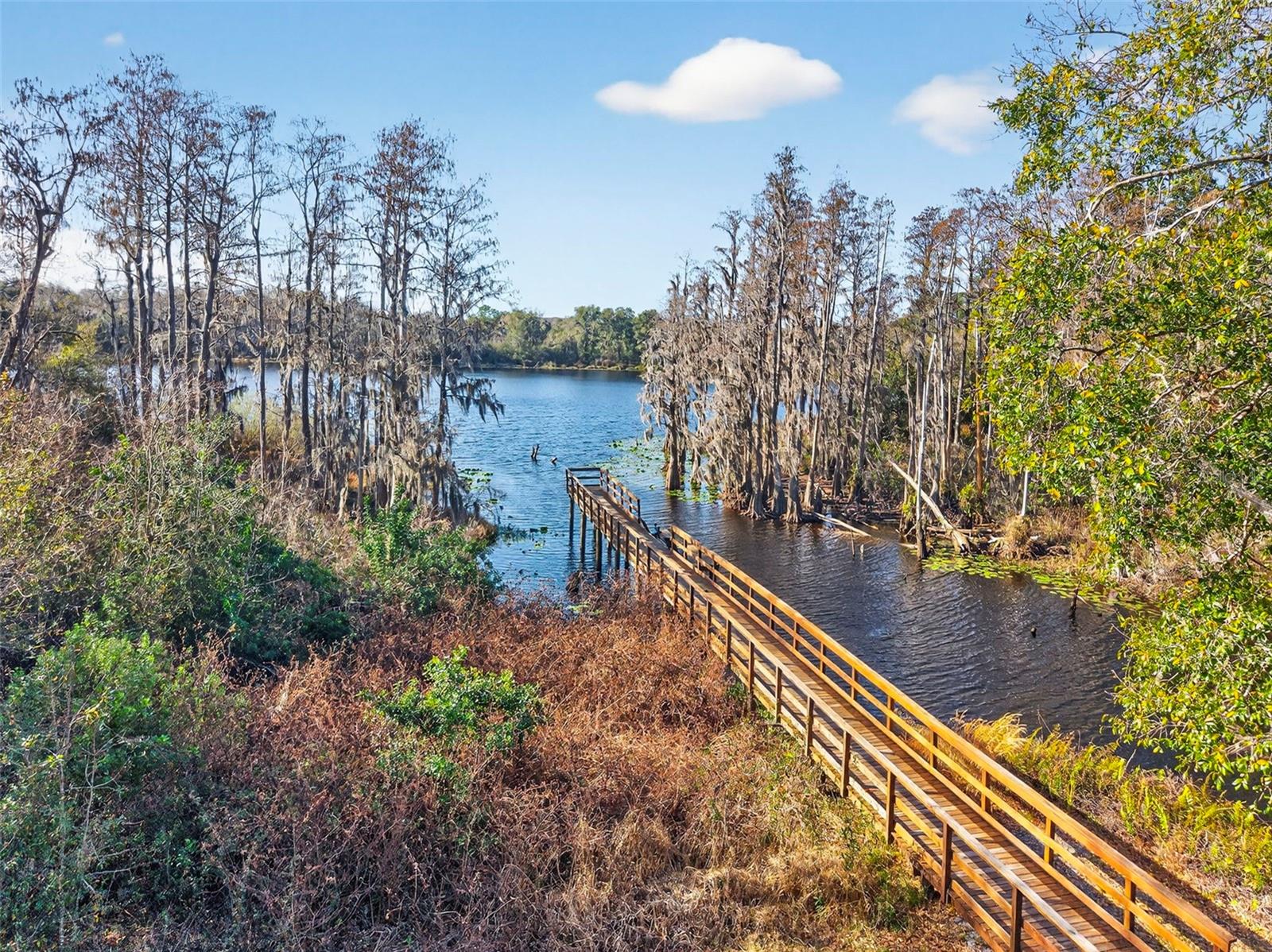 LAKEVIEW/CITRUS PARK - Residential