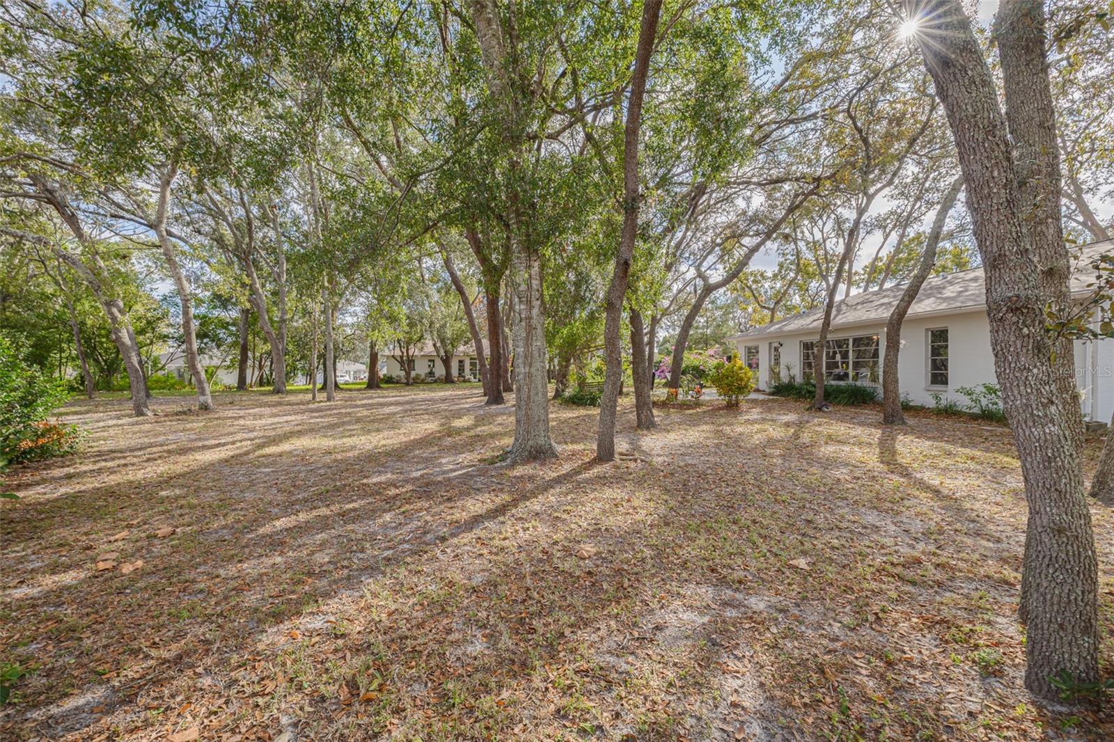 TIMBER OAKS - Residential