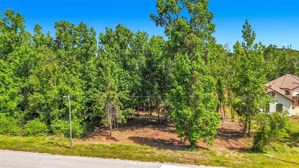 Photo of Lot 19 Lake Hills Dr., Riverview, FL 33569 (MLS # S5149016)