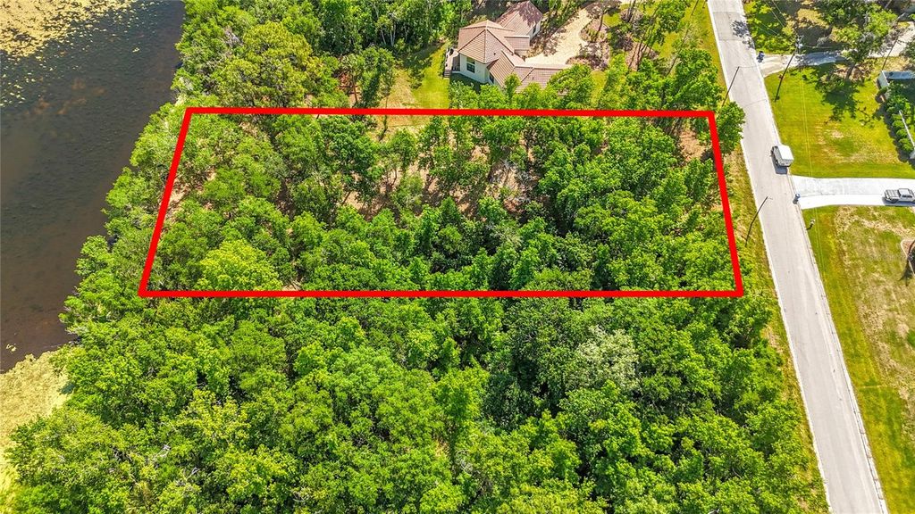 Photo of Lot 19 Lake Hills Dr., Riverview, FL 33569 (MLS # S5149016)