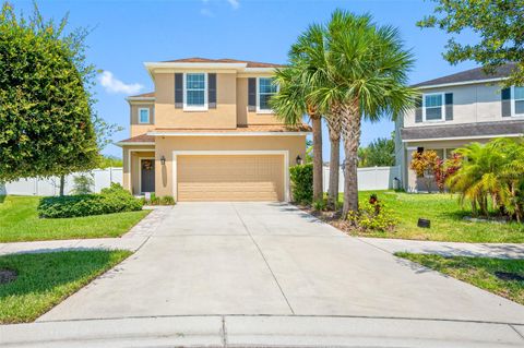 A home in RIVERVIEW