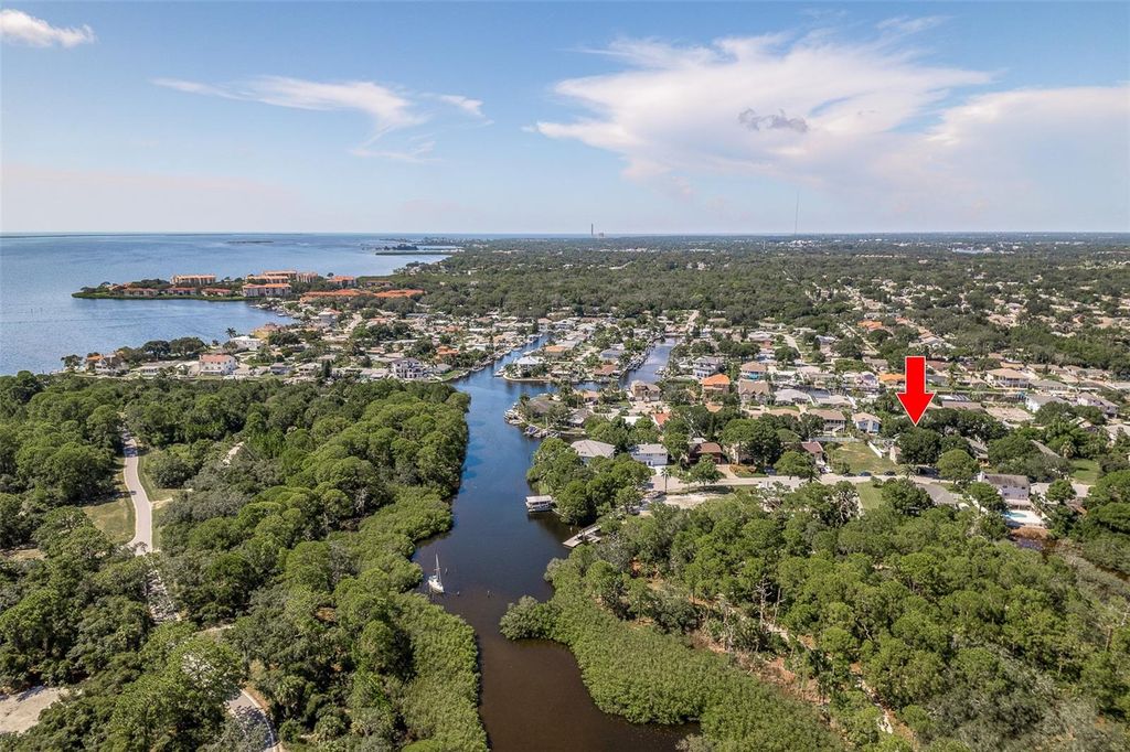 Photo of 14 Baywood Drive, Palm Harbor, FL 34683 (MLS # TB8489311)