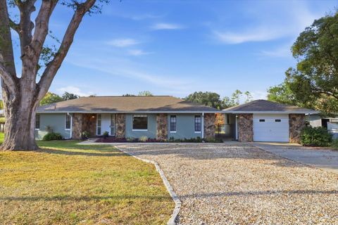 Photo of 10256 E Pike Drive, Inverness, FL 34450 (MLS # TB8451867)