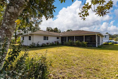 A home in PALM COAST