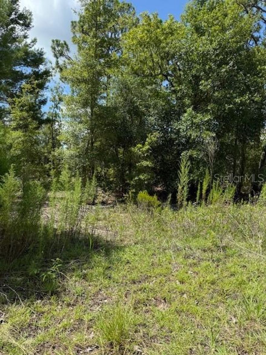 Located close to HWY 20 to shopping.  Great Opportunity to own all four adjoining lots totaling .40 Acre.  160' x 110' depth.   Affordable investment property or build your homestead.  Signs are on the property.